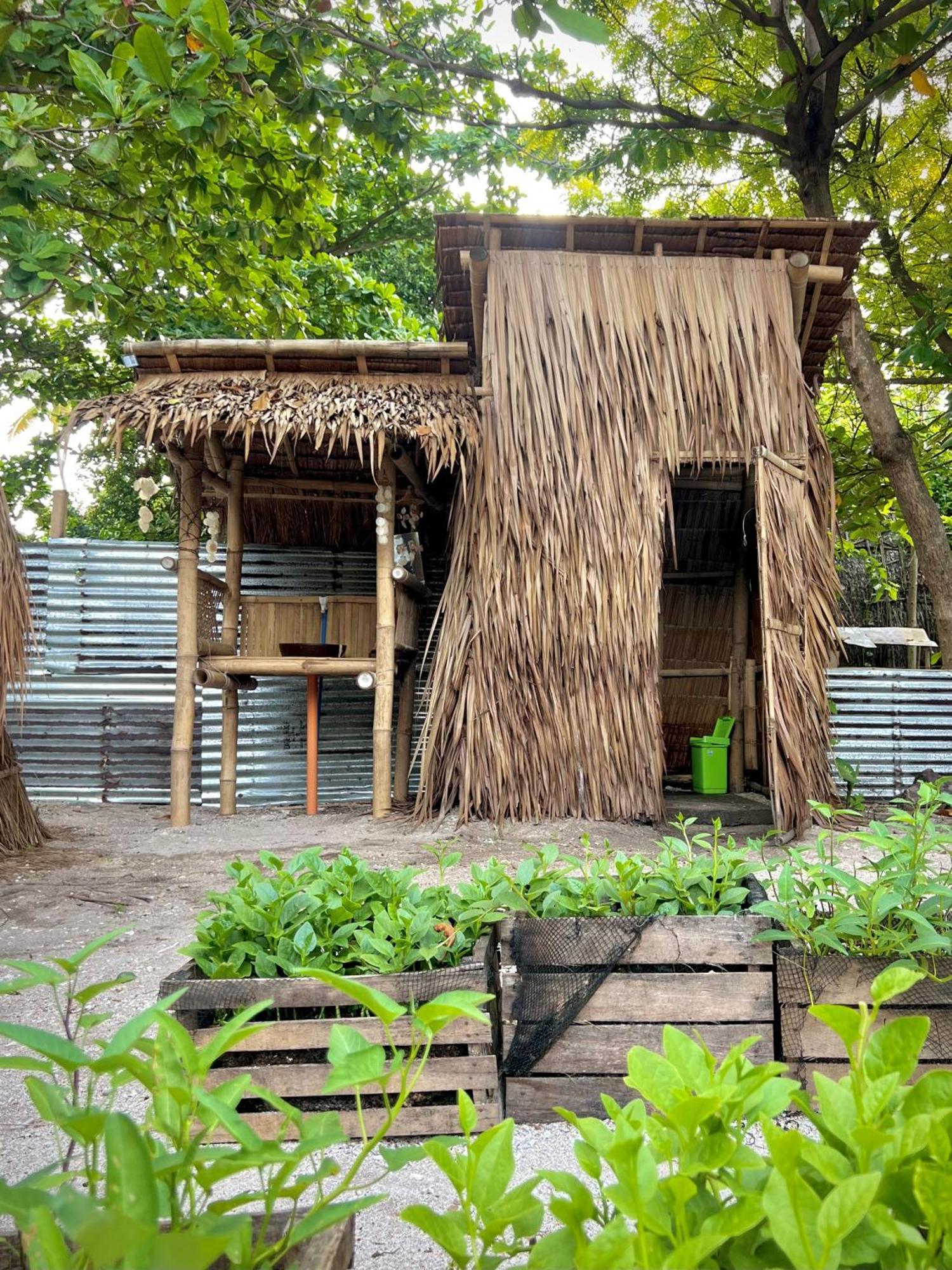 Tribal Huts Community Hostel Daanbantayan Phòng bức ảnh
