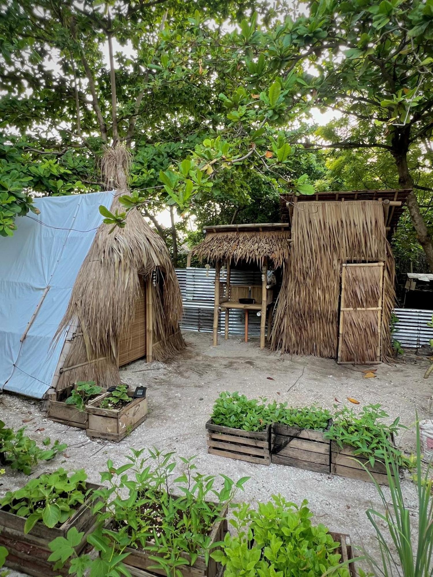 Tribal Huts Community Hostel Daanbantayan Ngoại thất bức ảnh